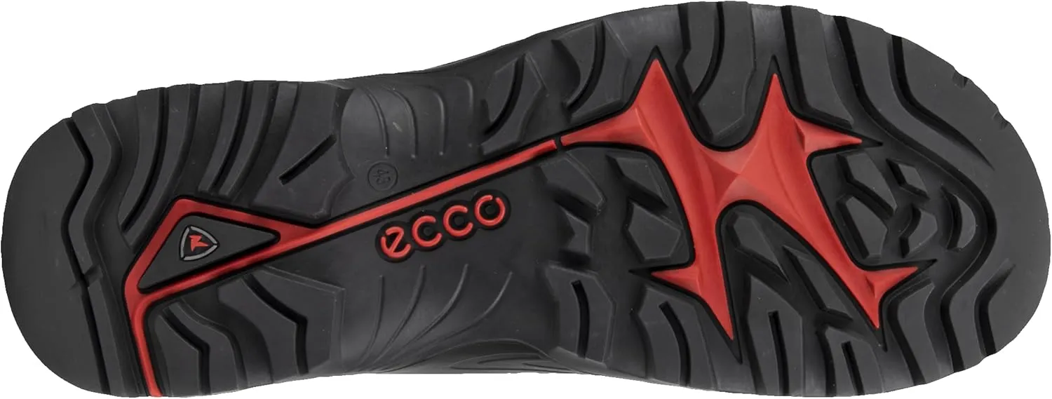 ECCO Men's Offroad Explorer Two Strap Hiking Shoe