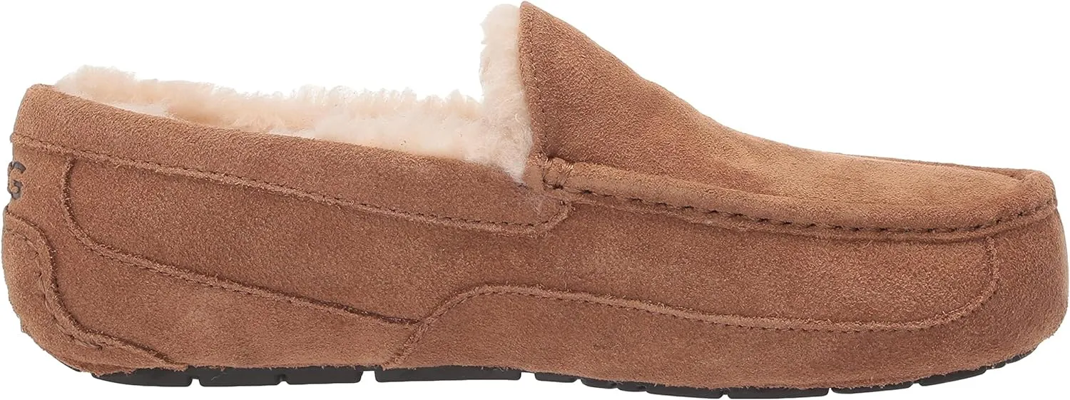UGG Men's Ascot Slipper